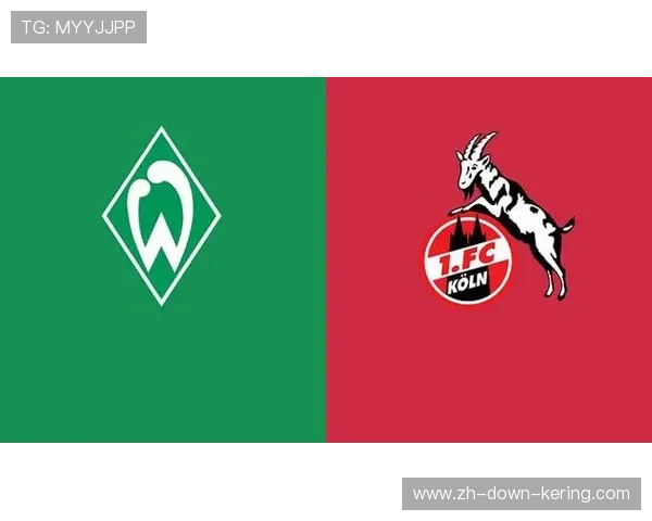 沃伯加盟不莱梅,老将经验补强后防短板